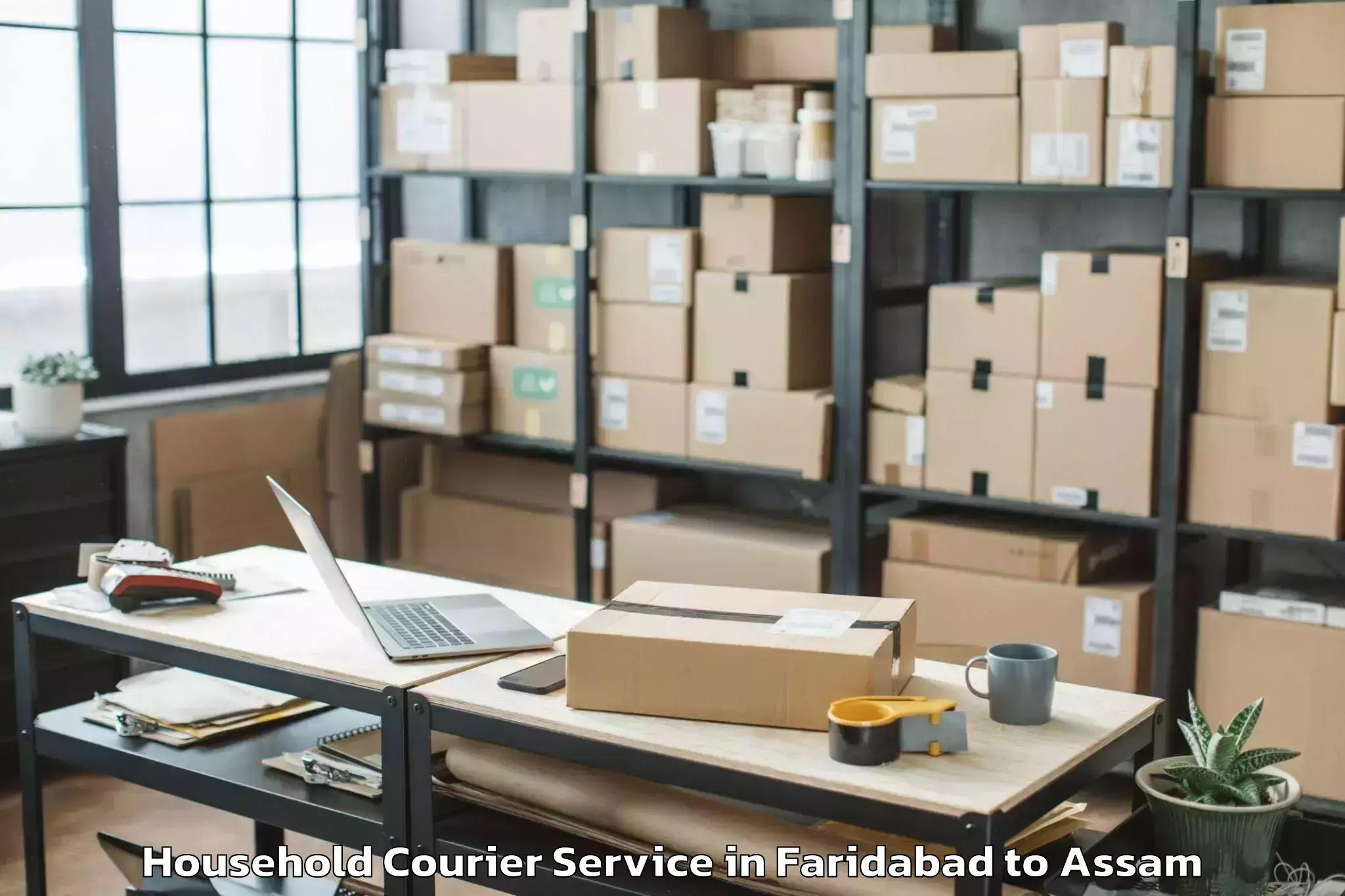 Affordable Faridabad to Borholla Household Courier